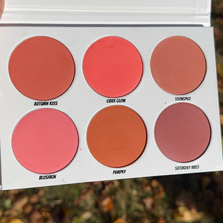 Autumn Aura Blush Palette